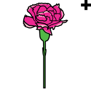 clavel