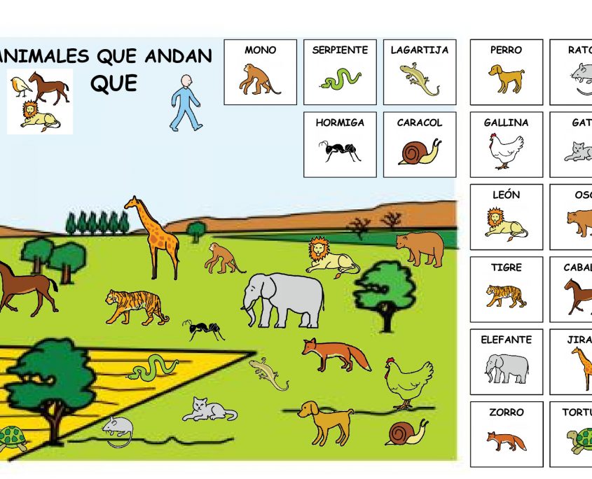 AAC Materials – Didactic Units – Living Beings – Aula Abierta De ARASAAC